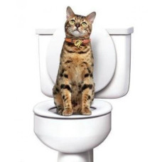 Набір Для привчання котів до Унітазу Туалет Citi Kitty від виробника — Kitty