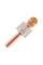 Мікрофон Karaoke DM WS858 Золото