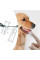 Комплект для грумінгу тварин Pet Grooming 8 в 1 з кігтерізом щітками та гребінцями