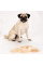 Фурмінатор Short Hair Small Dog для маленьких короткошерстих собак до 5 кг, 4,5 см